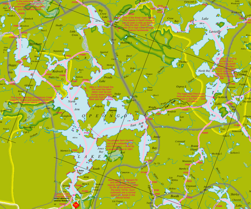 _Opeongo Map