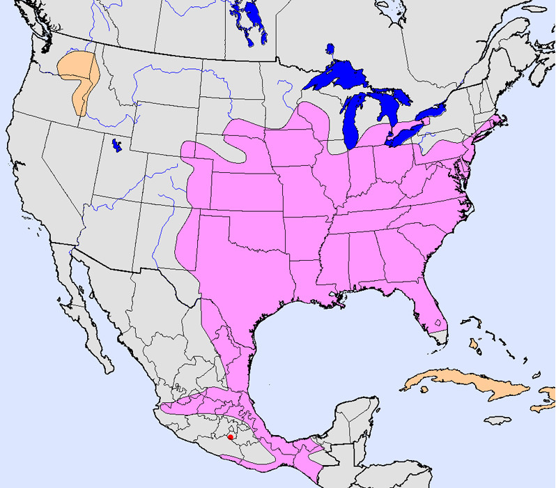 northern_bobwhite_map_big