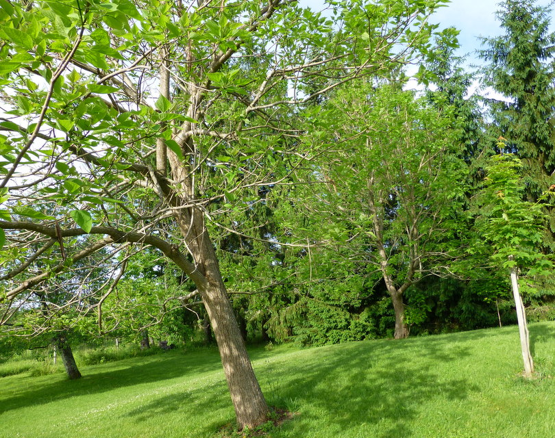 P1040774