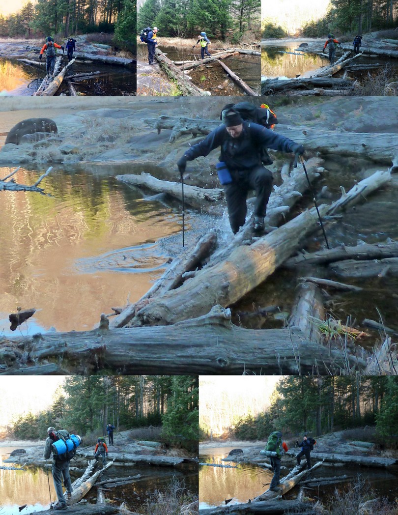 Log Crossing